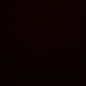 Meet your Posher, Ozzy